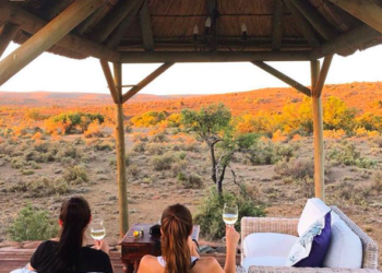 ue tal um COWORKING SAFARI?