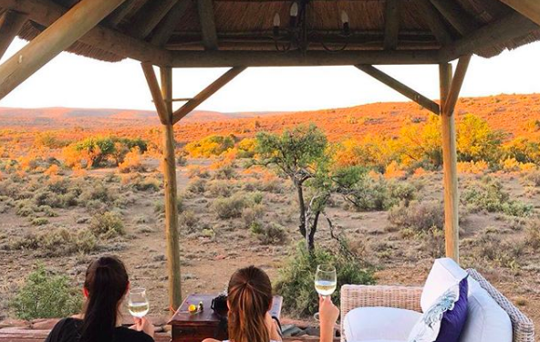 ue tal um COWORKING SAFARI?