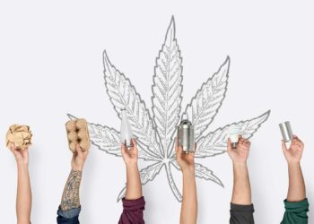 Green Hub : Aceleradora para projetos relacionados à Maconha Medicinal