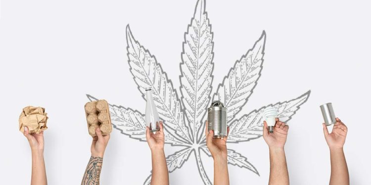 Green Hub : Aceleradora para projetos relacionados à Maconha Medicinal