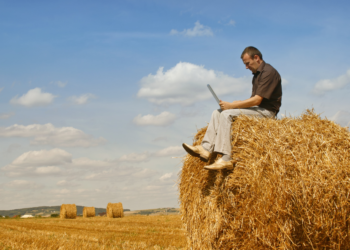 O agronegócio será um dos setores mais afetados pela tecnologia 5G. Imagem: Canva