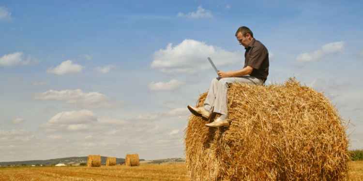 O agronegócio será um dos setores mais afetados pela tecnologia 5G. Imagem: Canva